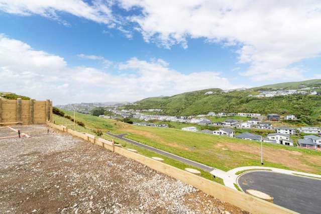 53 Crompton Avenue Churton Park_3