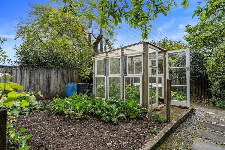 8a Lemari Avenue Stoke_18