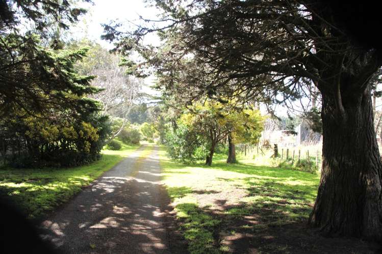 66 Palmer Road Foxton Beach_56