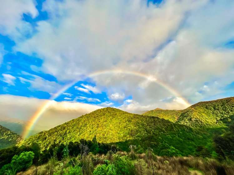 439 Engelbrechts Road Hunter_63