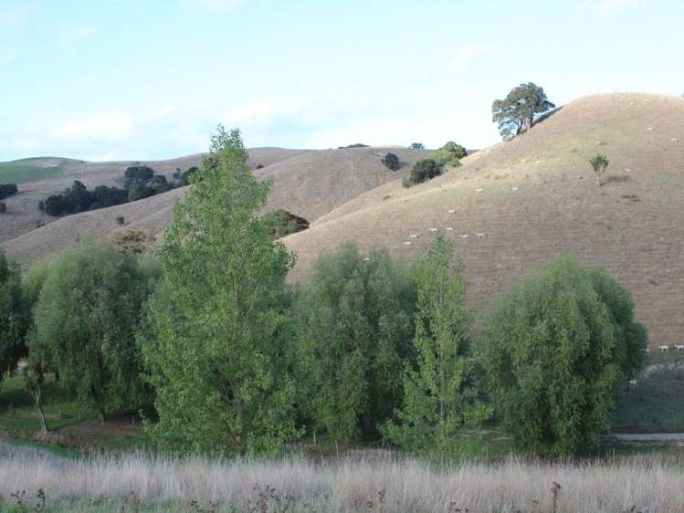 78 Bush Road Central Hawkes Bay Country_12