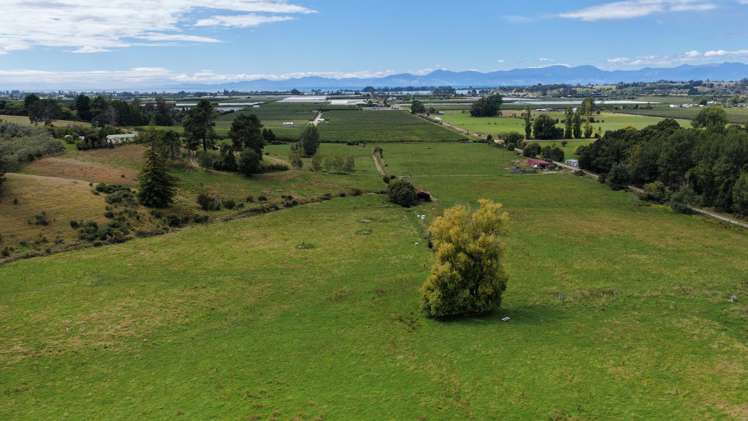 219 Hursthouse Street Lower Moutere_22