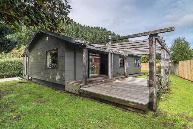 4 Poneke Drive Waikanae_1