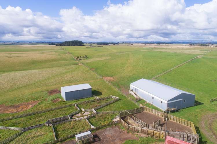 63b Sligo Terrace Roslyn_19