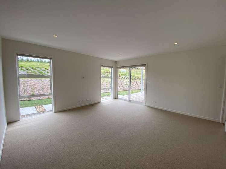 241 Austin Road Dairy Flat_8
