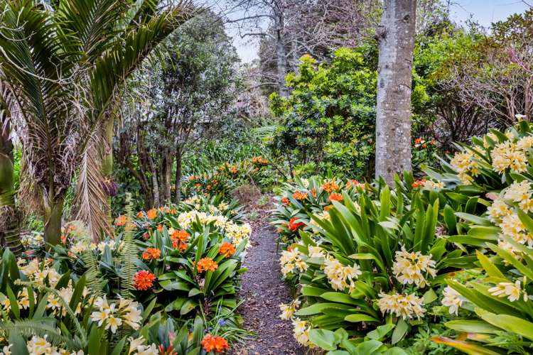 54 Karina Road Merrilands_42