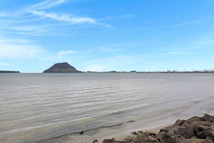 68 Kulim Avenue Otumoetai_9