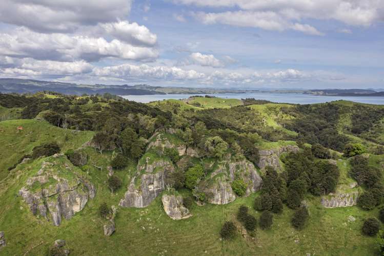 Te Papatapu Road Raglan_24