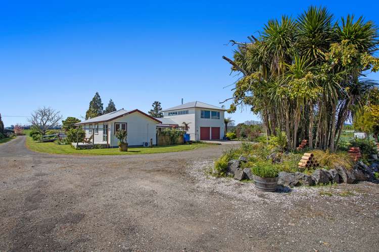 424 East Bank Road Edgecumbe_20