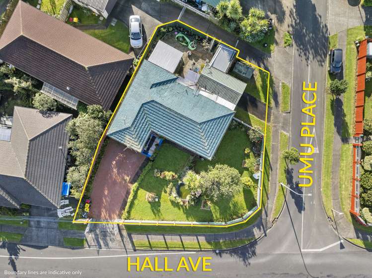 52 Hall Avenue Mangere_17
