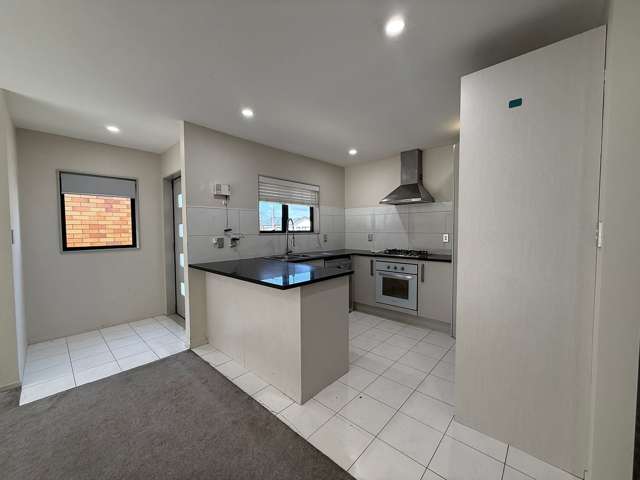 21 Bangla Place Massey_2