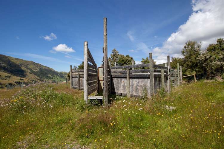 1178 Puhi Puhi Road Puhi Puhi_38