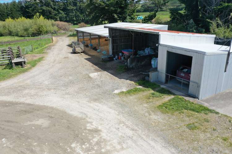 339 Mangaroa Road Eketahuna_13