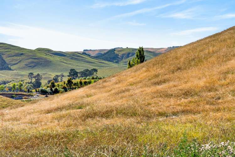 Lot Lot 2/741 Matapiro Road Crownthorpe_8