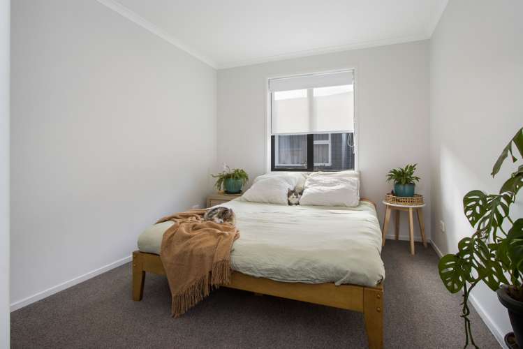 1 Thorn Road Waihi_11