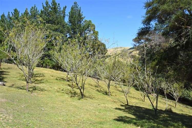 974 Longbush Road Longbush_17