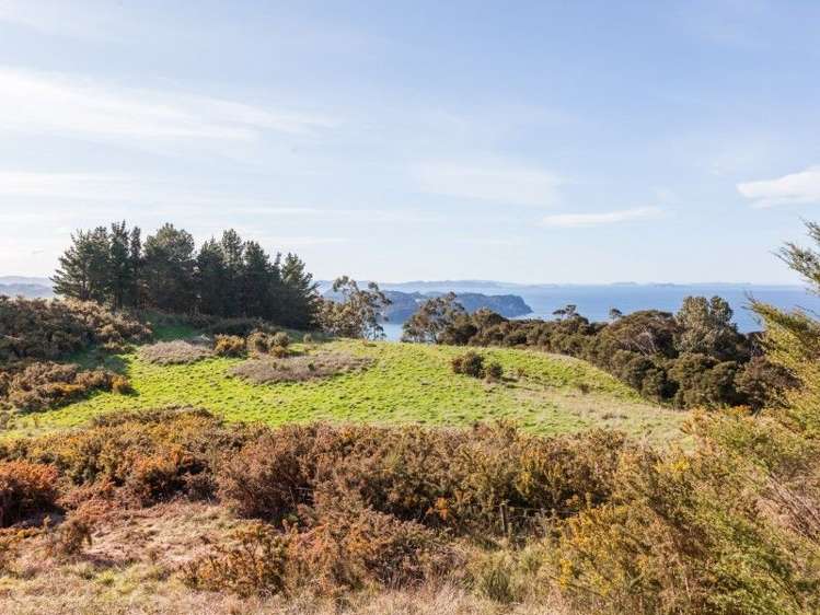 425l Boat Harbour Road Whenuakite_11