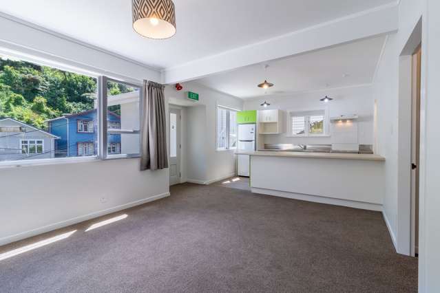 32 Adams Terrace Aro Valley_1