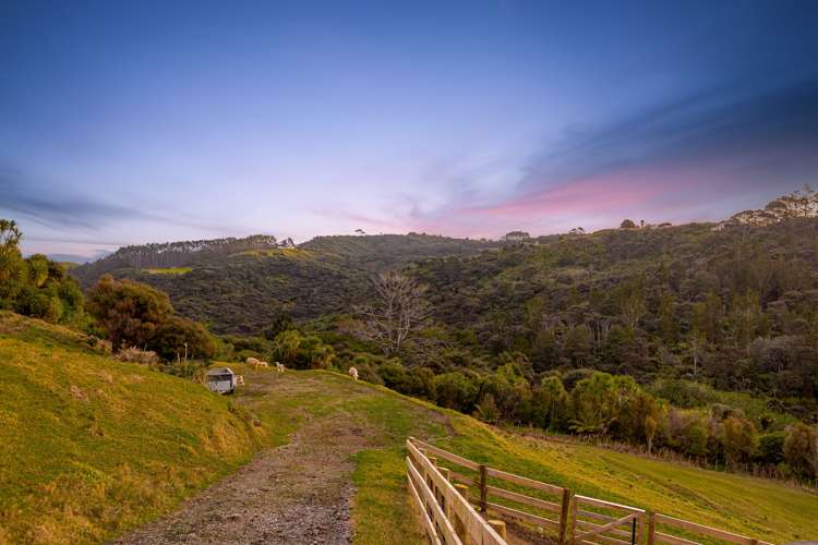 92 Taiapa Valley Road Muriwai_16