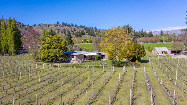 113 Earnscleugh Road Alexandra_9