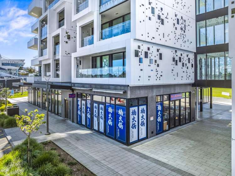 223 Greenlane West_0