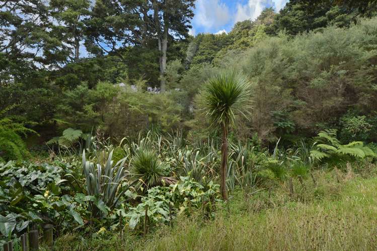 20 Homestead Grove Kauri_8