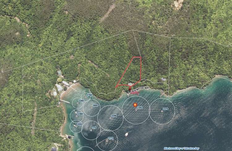Lot 1 Blackwood Bay Queen Charlotte Sound_29