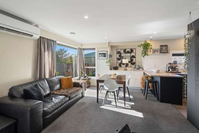 259 Lyttelton Street Spreydon_4