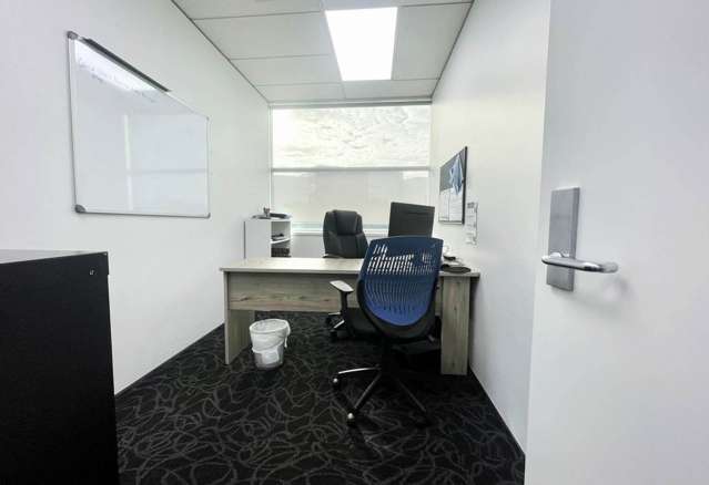 61 Saint Lukes Road Mt Albert_4