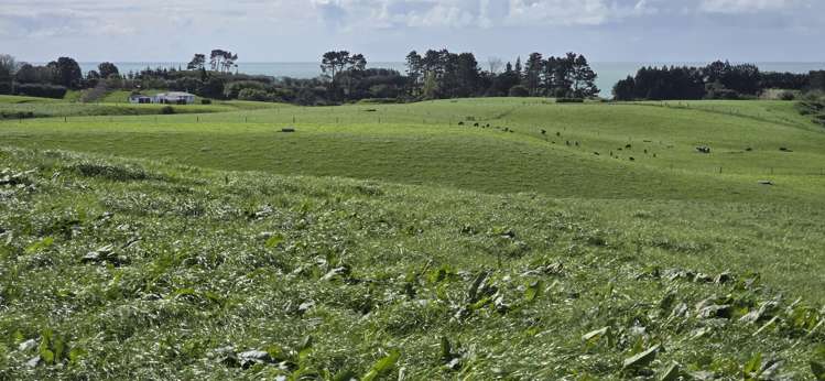 1028 Main North Road Onaero_23