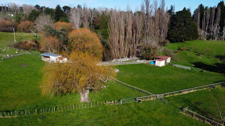 36 Riverdale Road Dannevirke_19