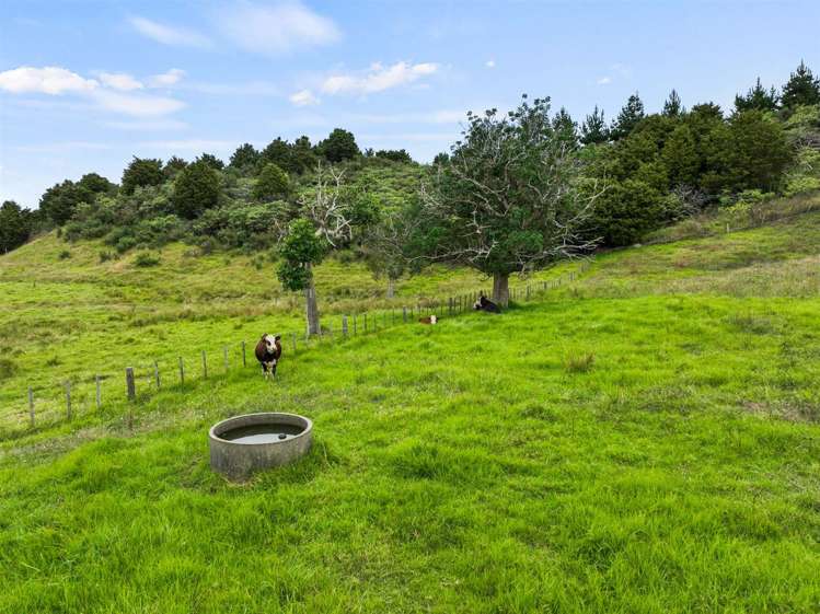 127d Oruawharo Road Topuni_29