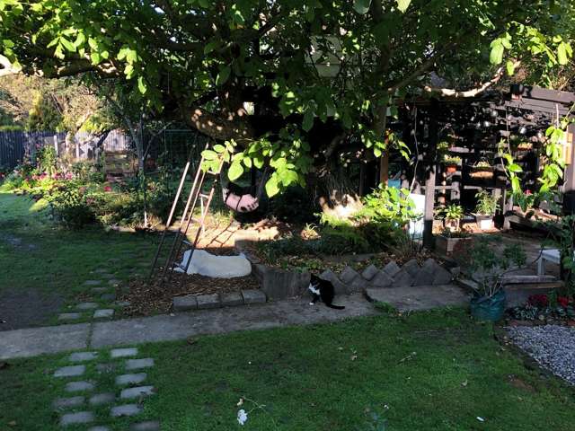 46 Woodward Street East Featherston_3