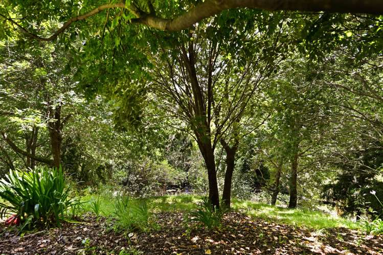 72B Ferguson Road Whatawhata_30