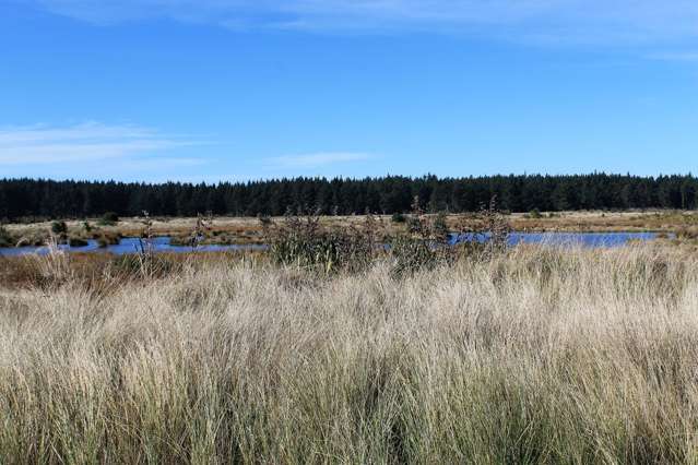 64 Te Kohanga Drive Pegasus_1