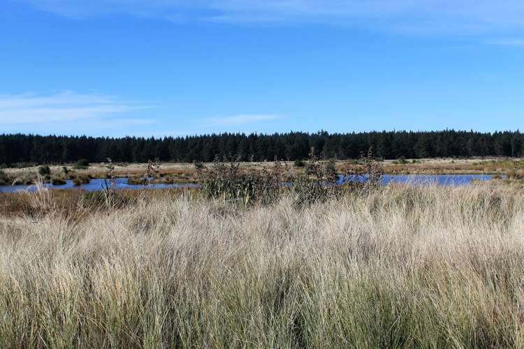 64 Te Kohanga Drive Pegasus_1