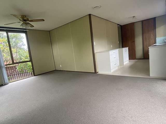 72 John Downs Drive Browns Bay_3