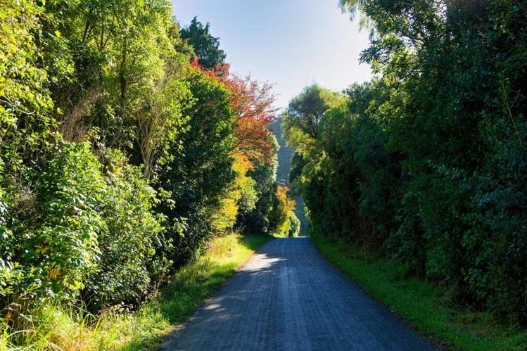 Lot 3/DP403510 Puhi Puhi Valley Road Kaikoura_20