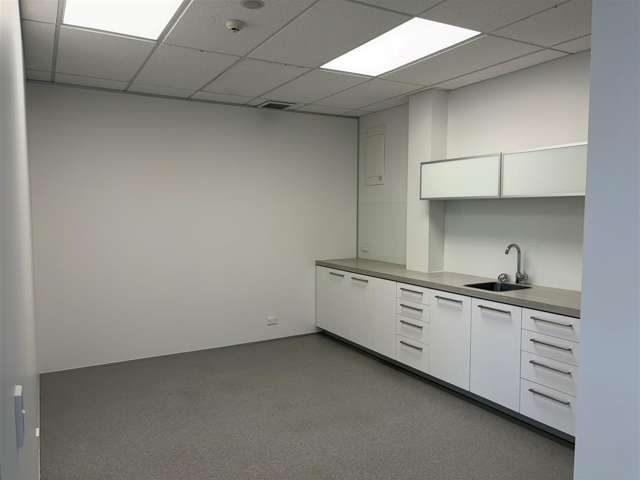 91 Picton Avenue Riccarton_4