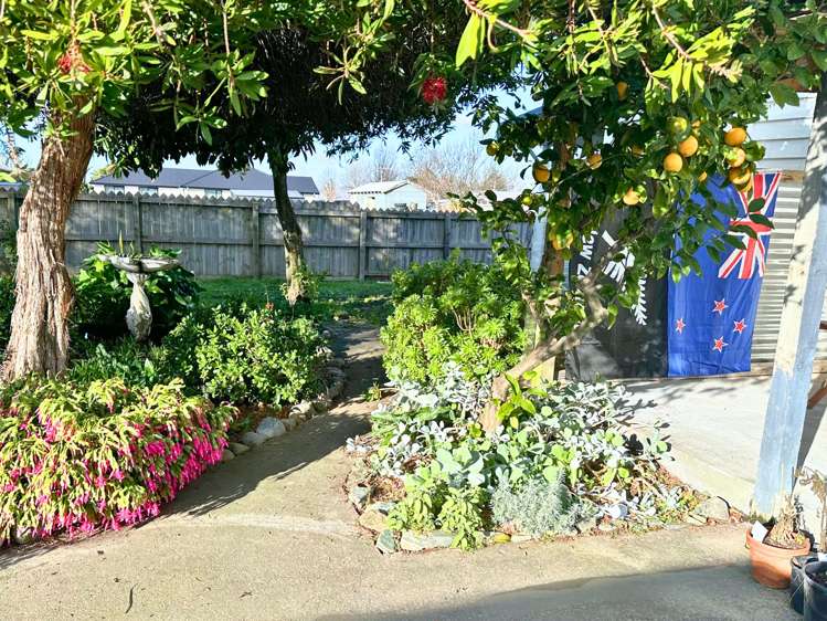 16 Havelock Street Renwick_11