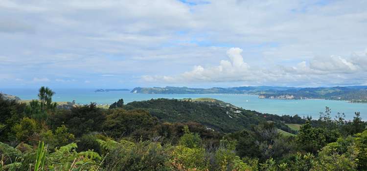 57 Tarapatiki Drive Whitianga_1