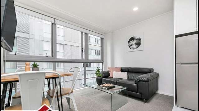 Fully furnished 2 bedroom apartment