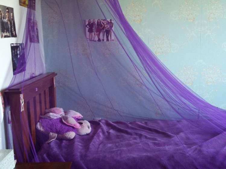 103 Kupara Road Ratapiko_7