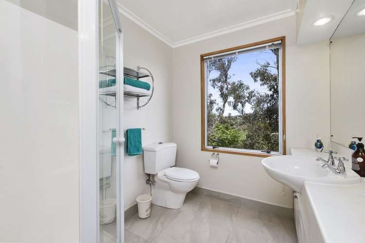 11 Belford Street Waverley_17