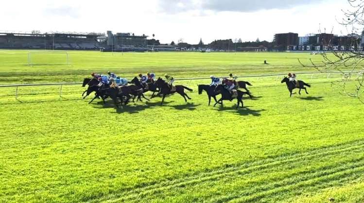 67e Wingate Street Avondale_18