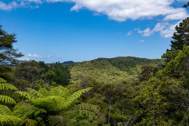Sec 14-15 Whangape Track Road Broadwood_1