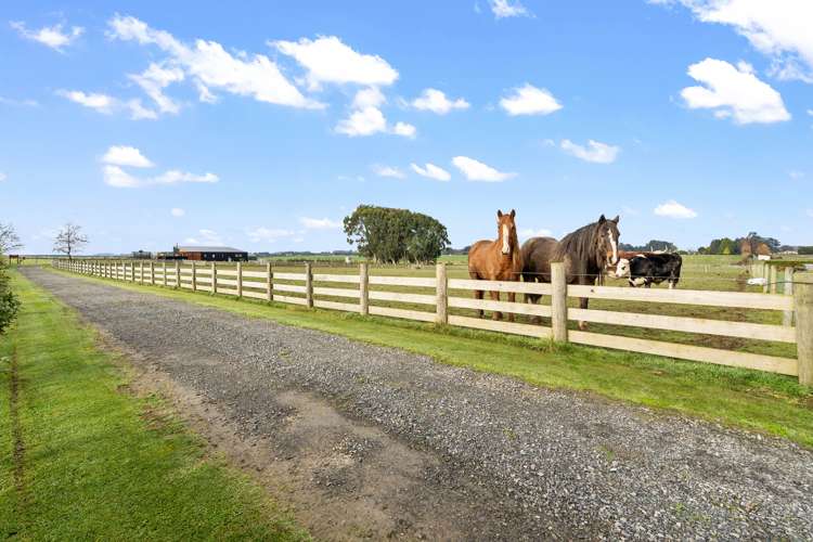 390 Mill Road North Myross Bush_5