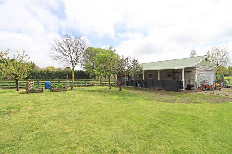 115 Riversdale Road Carterton_13