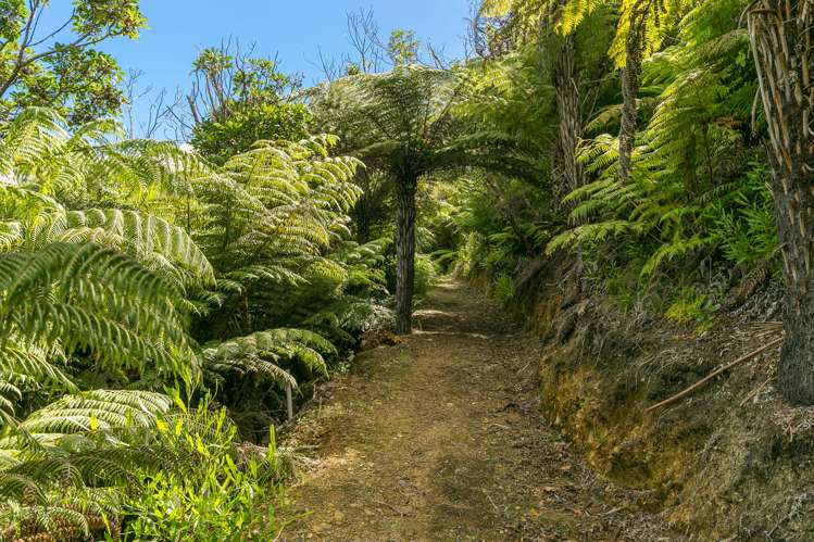 49 Onahau Road Onahau Bay_16