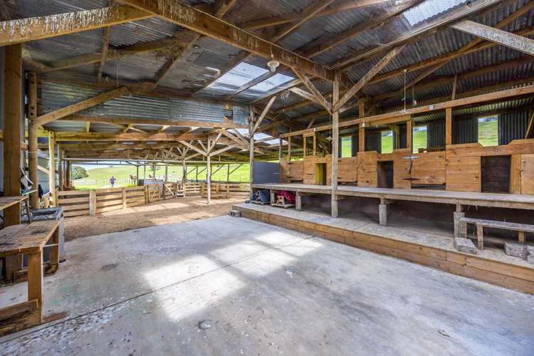 421 Wharehine Road Wharehine_15